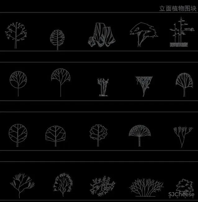 超全超详细植物绿植盆栽苗木平立面CAD图库图块合集丨DWG格式丨68.6M