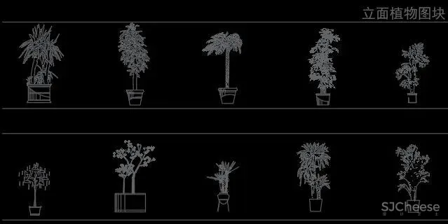 超全超详细植物绿植盆栽苗木平立面CAD图库图块合集丨DWG格式丨68.6M