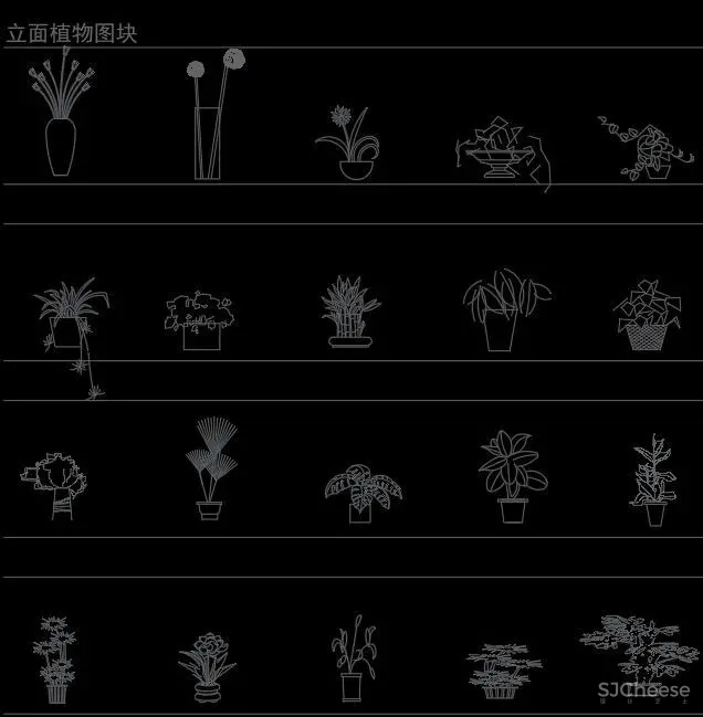 超全超详细植物绿植盆栽苗木平立面CAD图库图块合集丨DWG格式丨68.6M
