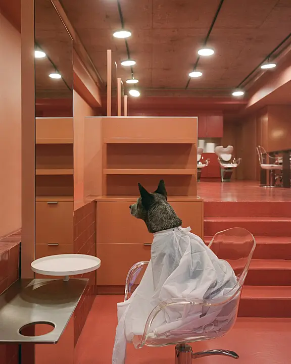 粉色与扭曲:COV 悉尼顶级美发沙龙(莫斯曼) by coffeyhallett.