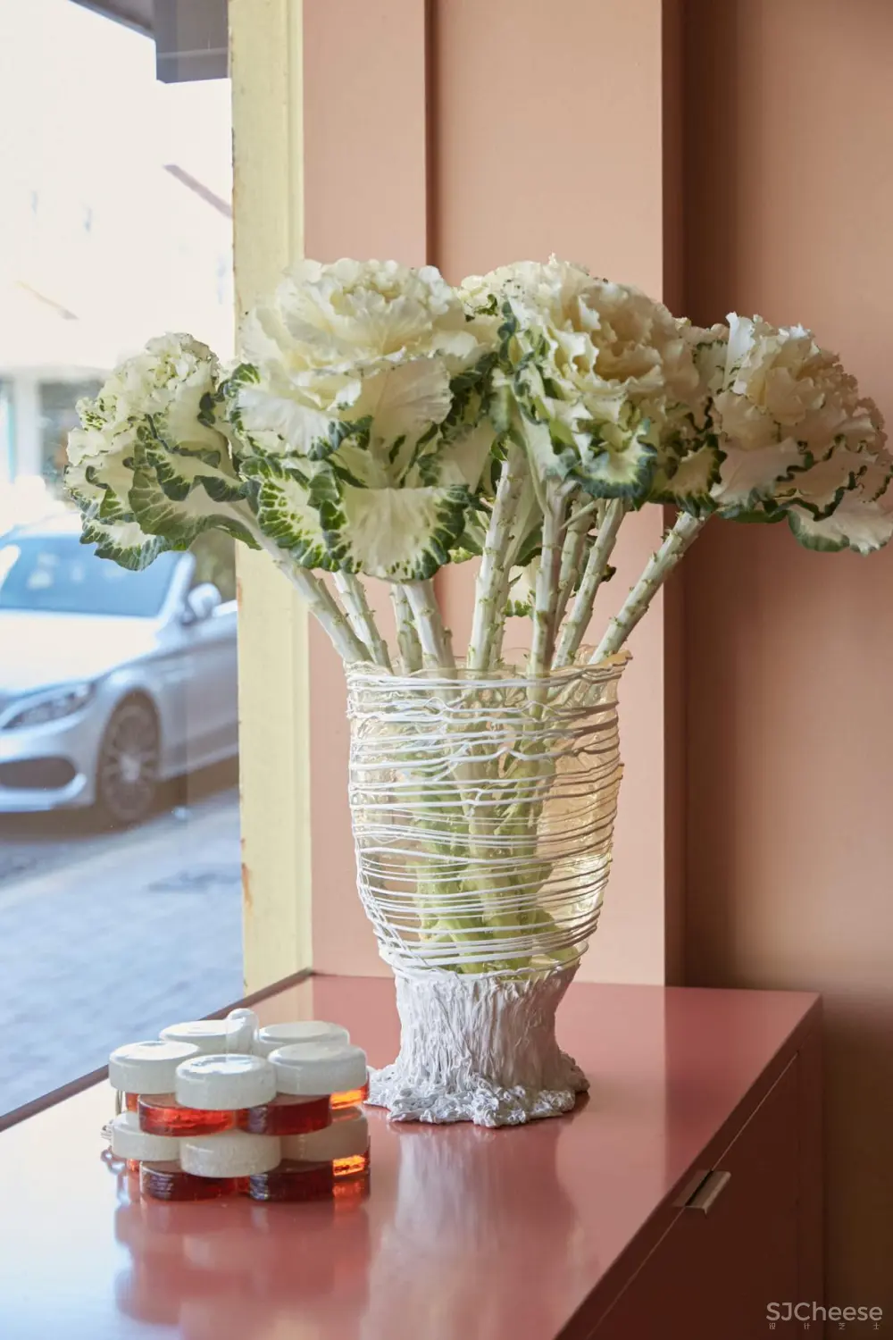 粉色与扭曲:COV 悉尼顶级美发沙龙(莫斯曼) by coffeyhallett.