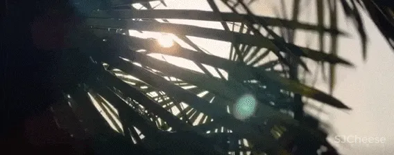 零次方设计 | 云端大平层 演绎低奢都会生活