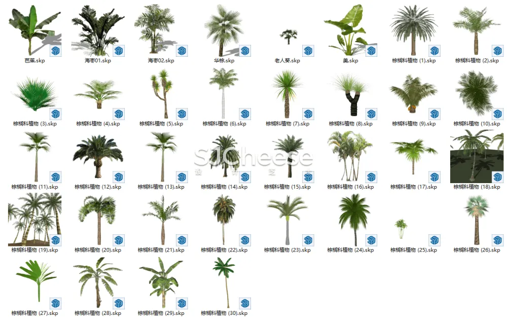 SU植物模型合集竹子藤曼棕榈乔木灌木绿植盆栽丨14类838个模型丨SKP格式丨846M