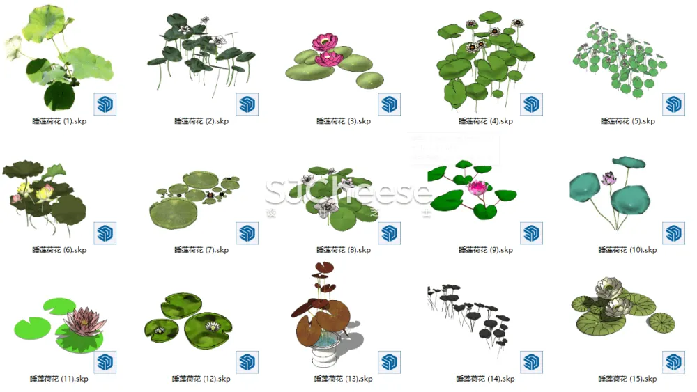 SU植物模型合集竹子藤曼棕榈乔木灌木绿植盆栽丨14类838个模型丨SKP格式丨846M