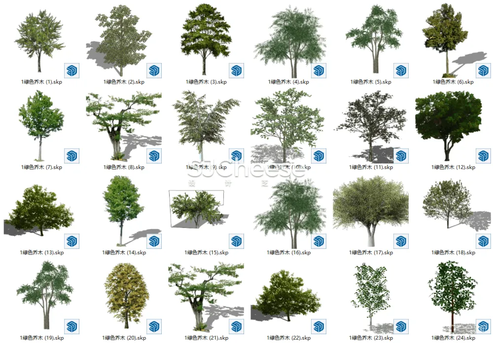 SU植物模型合集竹子藤曼棕榈乔木灌木绿植盆栽丨14类838个模型丨SKP格式丨846M