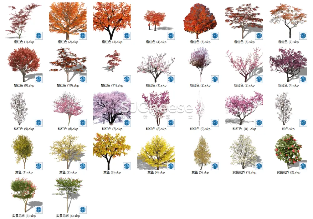 SU植物模型合集竹子藤曼棕榈乔木灌木绿植盆栽丨14类838个模型丨SKP格式丨846M