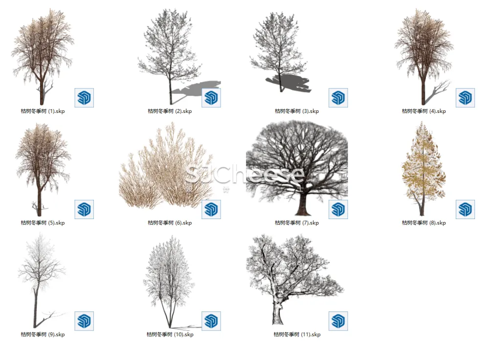 SU植物模型合集竹子藤曼棕榈乔木灌木绿植盆栽丨14类838个模型丨SKP格式丨846M