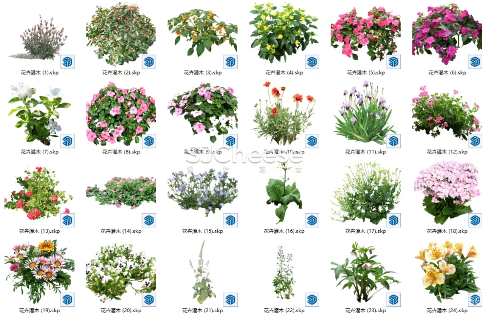 SU植物模型合集竹子藤曼棕榈乔木灌木绿植盆栽丨14类838个模型丨SKP格式丨846M