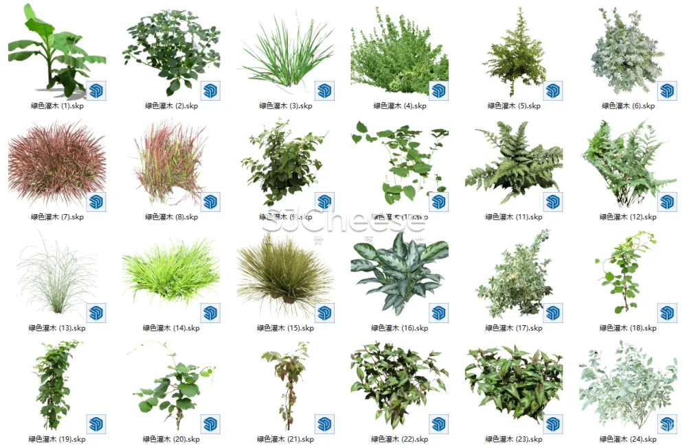 SU植物模型合集竹子藤曼棕榈乔木灌木绿植盆栽丨14类838个模型丨SKP格式丨846M