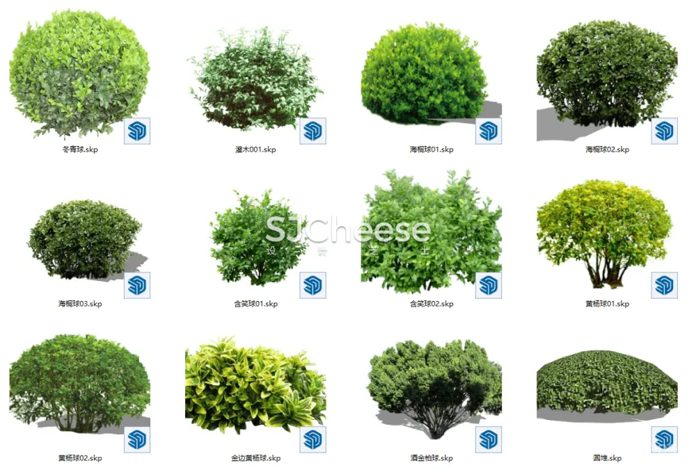 SU植物模型合集竹子藤曼棕榈乔木灌木绿植盆栽丨14类838个模型丨SKP格式丨846M