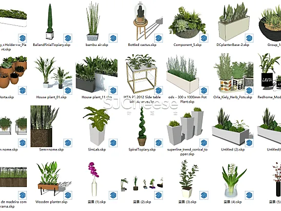 SU植物模型合集竹子藤曼棕榈乔木灌木绿植盆栽丨14类838个模型丨SKP格式丨846M