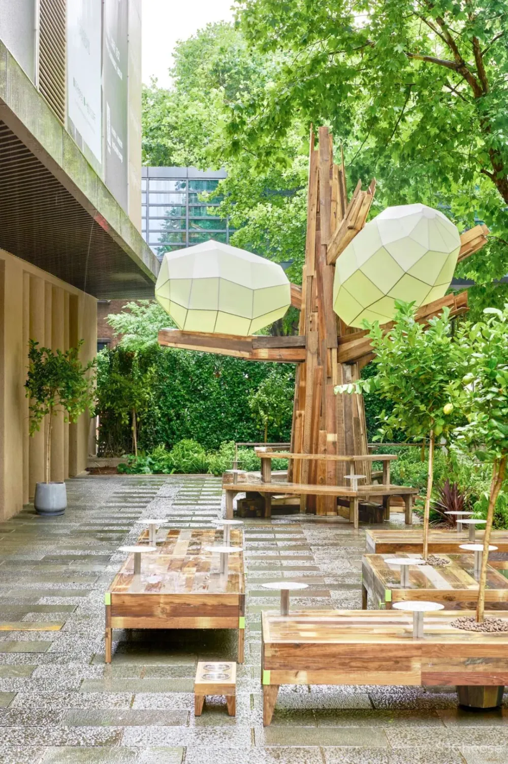 introlemons 新天地旗舰店：倡导可持续生活方式的茶饮店