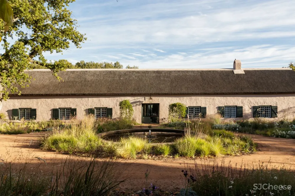 20250420200103239 他们用三年造了座「慢星球」:疗愈、归家、与万物共生的南非民宿