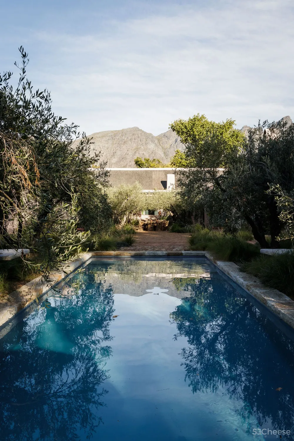 20250420200128874 他们用三年造了座「慢星球」:疗愈、归家、与万物共生的南非民宿